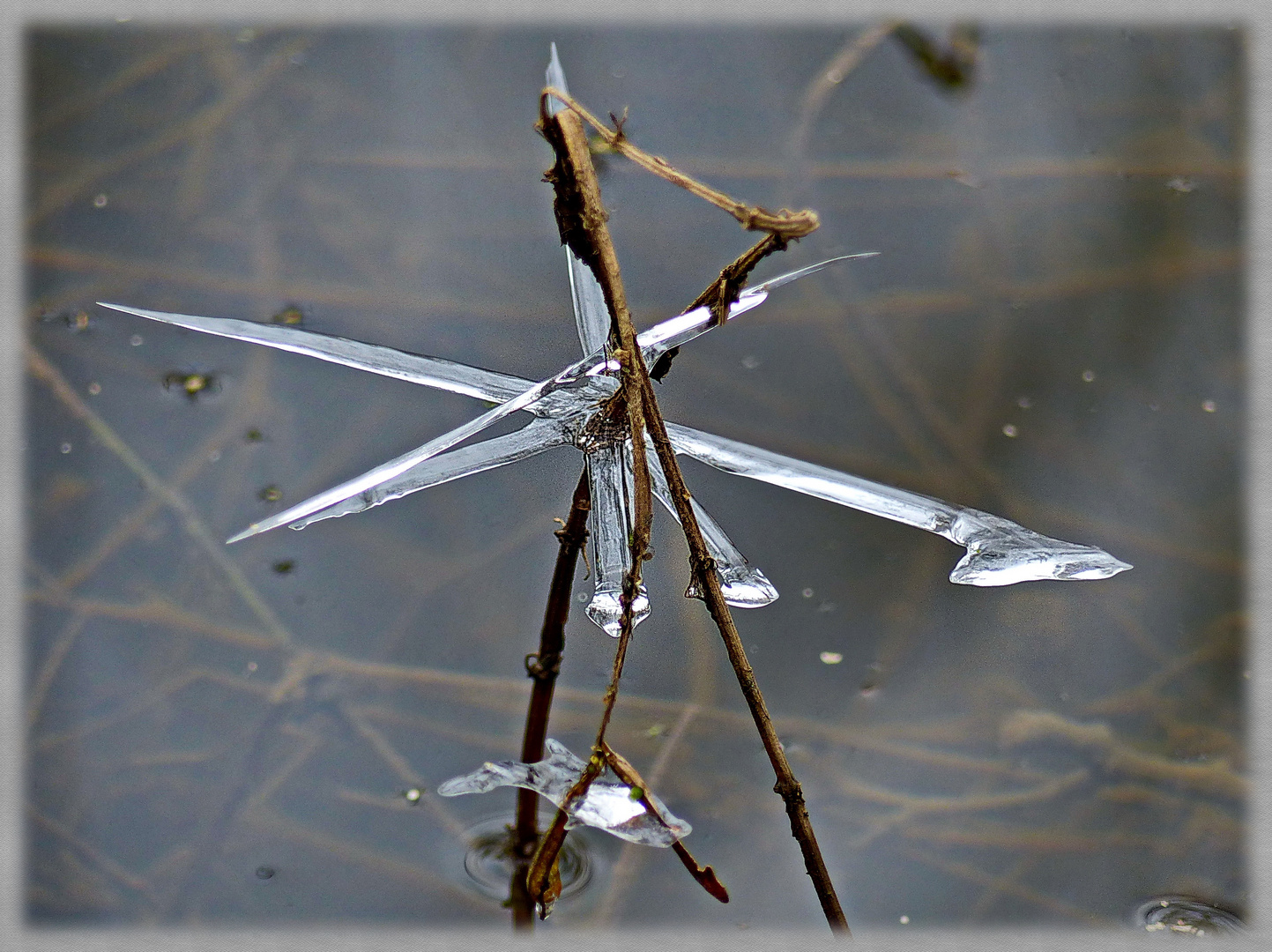 Wunder der Natur     Eisgebilde 