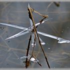 Wunder der Natur     Eisgebilde 