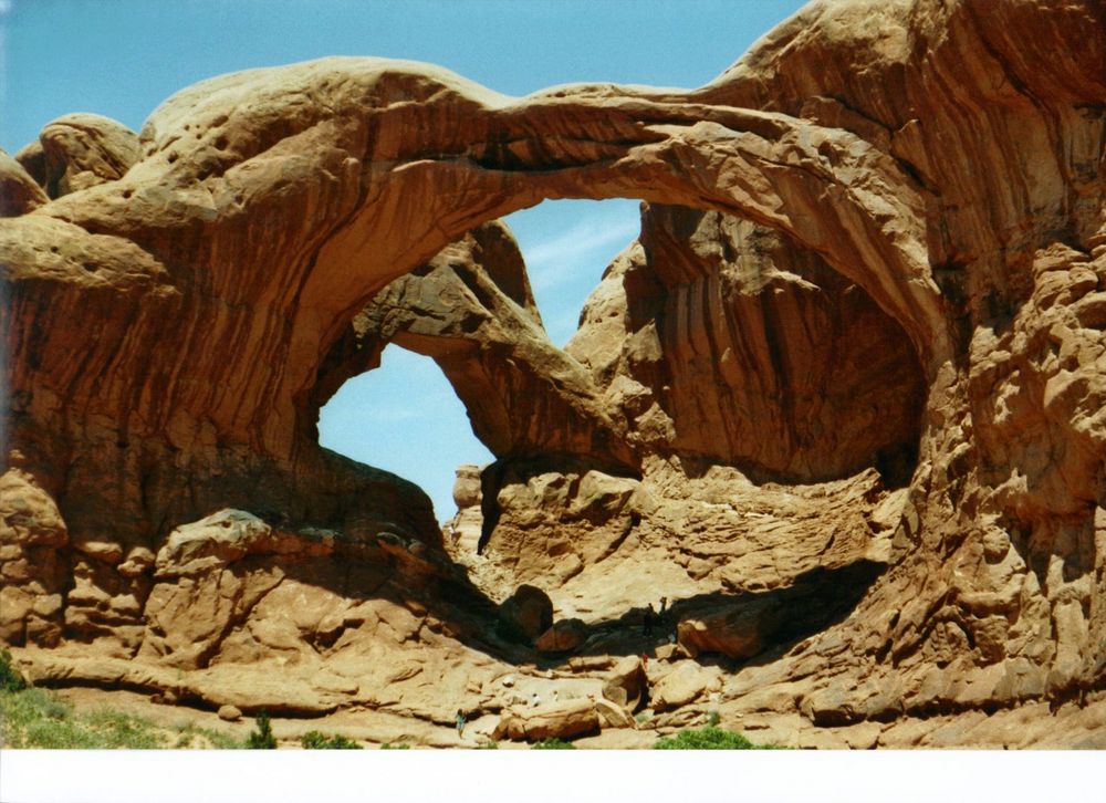 Wunder der Natur, schau genau von Carmen Lohse 