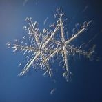 Wunder der Natur "Schneekristalle"