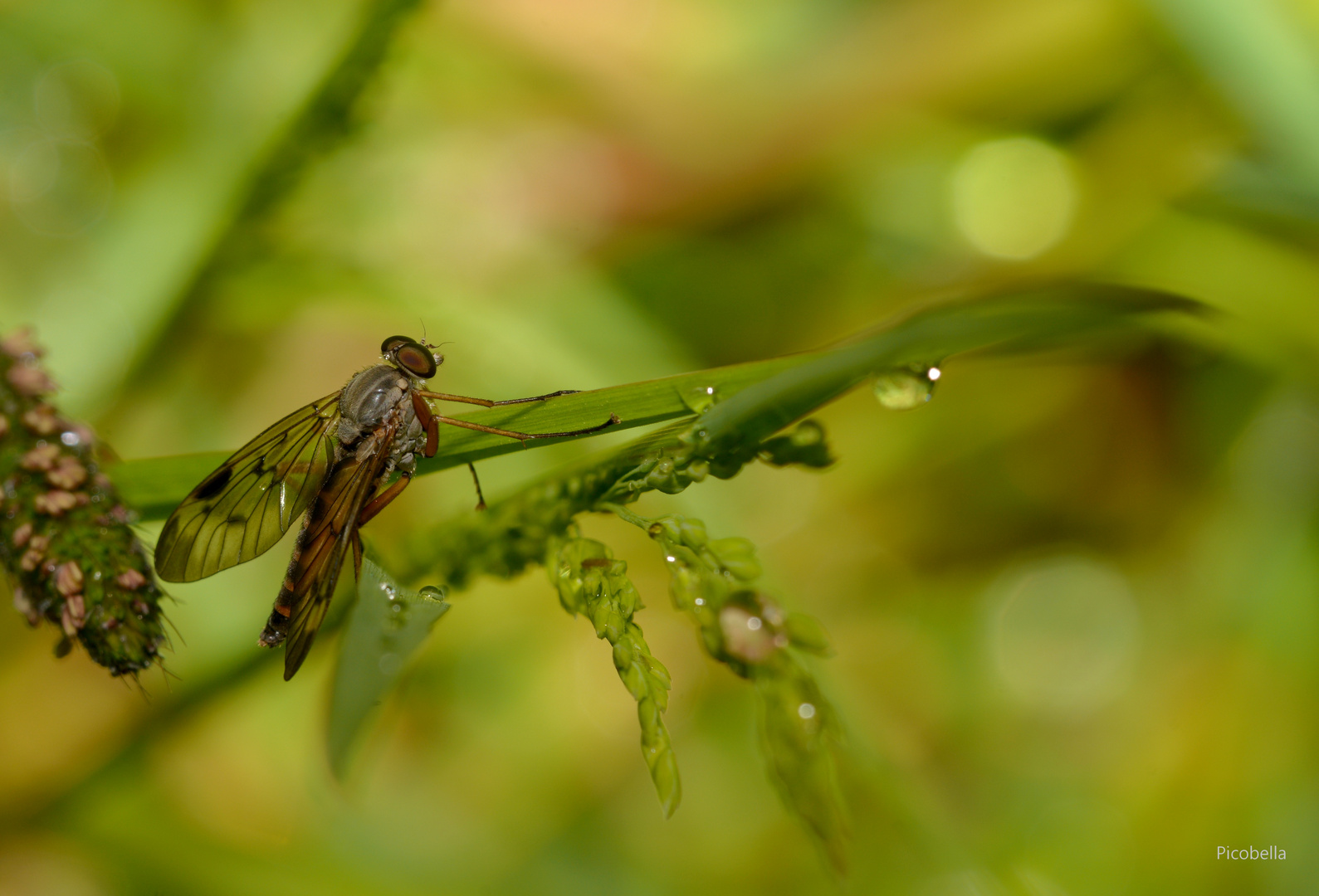 Wunder der Natur Teil 2