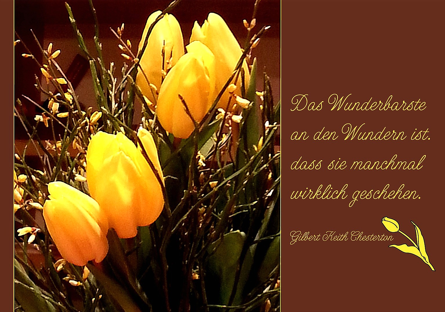 Wunder geschehen Foto & Bild karten und kalender, karten 2015