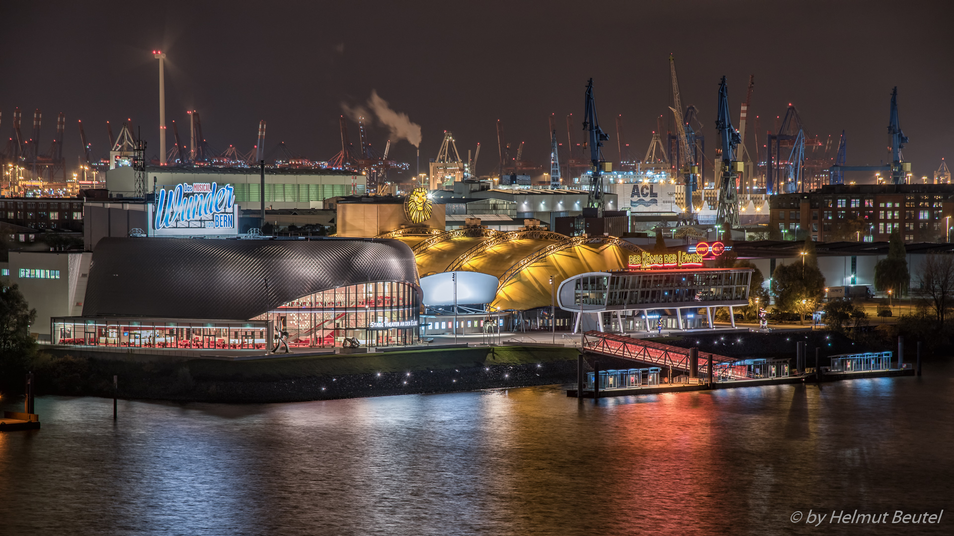 Wunder Löwen von der Elbphilharmonie gesehen