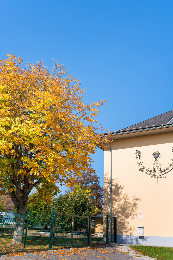 Wunder schöne Herbstfarben verstärkt durch Sonnenlicht.