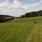 Wunderbar weicher Wanderweg