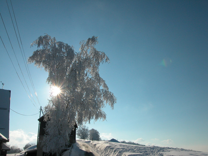 wunderbarä Wiinterspaziergang