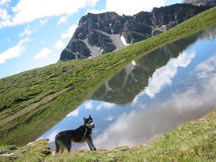 Wunderbare Bergwelt