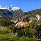 Wunderbare Herbstzeit