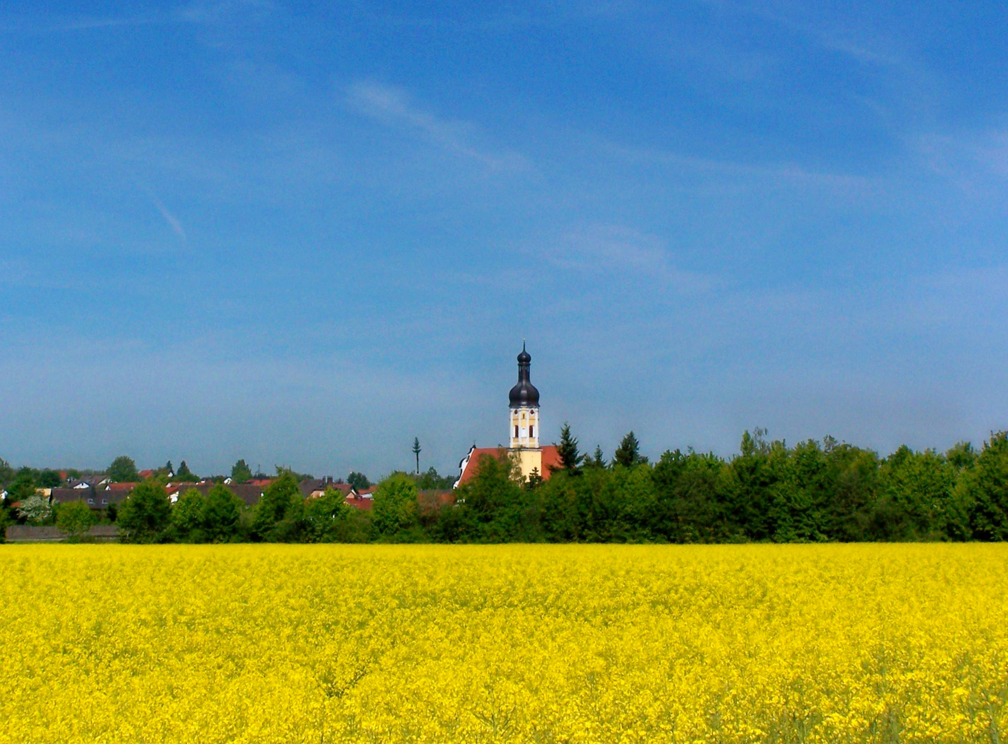 wunderbare malerin