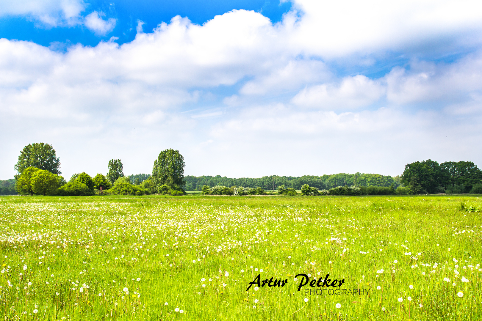 wunderbare Natur