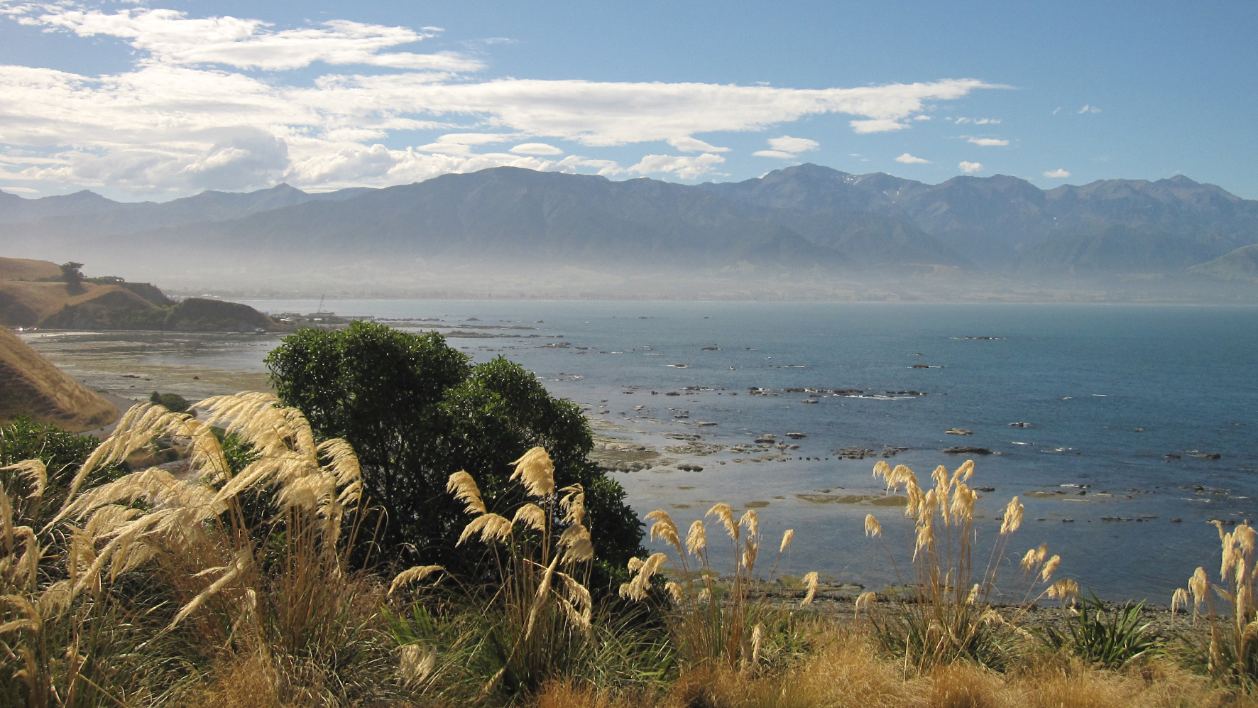 Wunderbare Natur in Neuseeland – überall