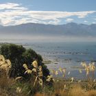 Wunderbare Natur in Neuseeland – überall