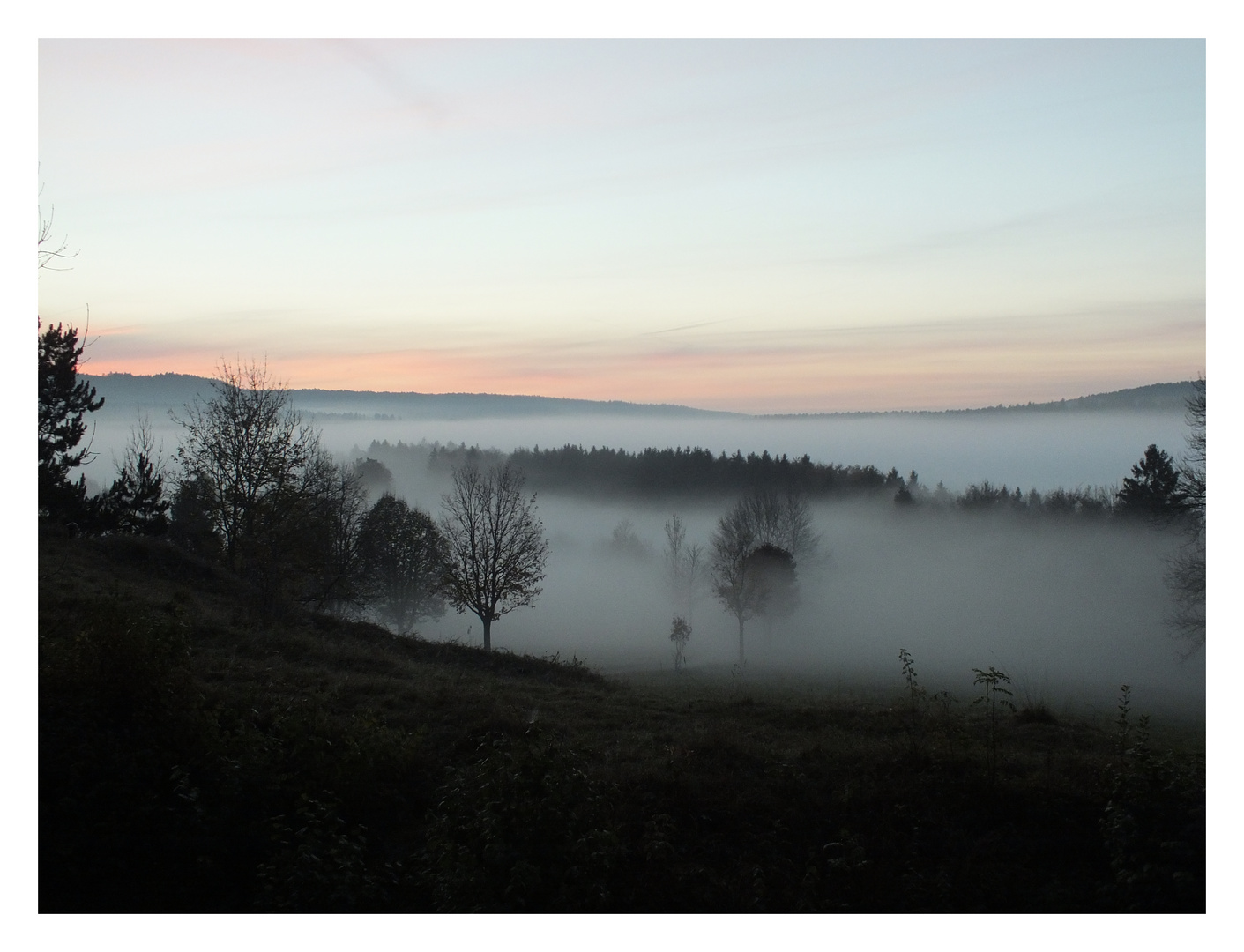 Wunderbare Nebelwelt....