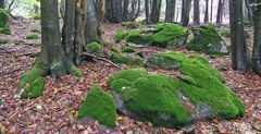 Wunderbare Rhön 08