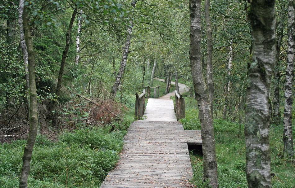 Wunderbare Rhön 10