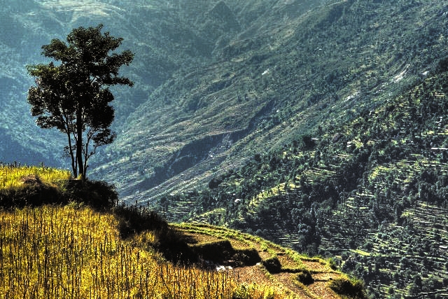 Wunderbare Stille in Nepal