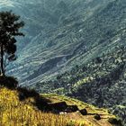 Wunderbare Stille in Nepal