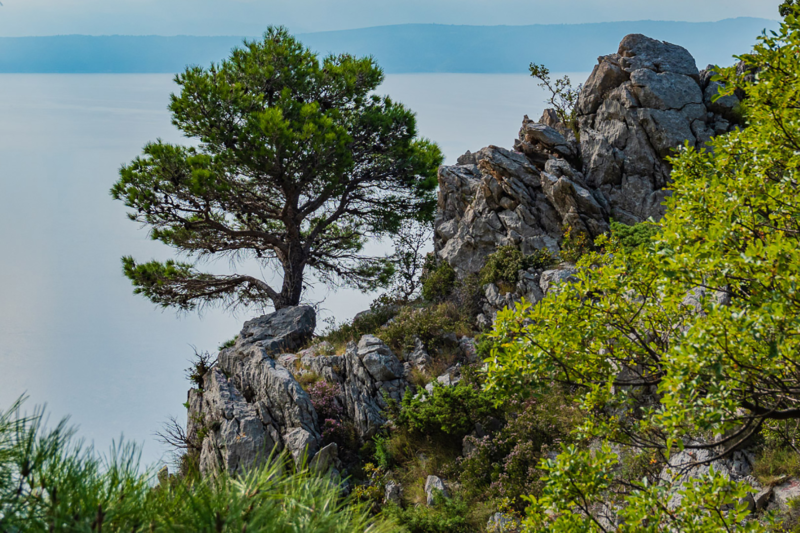 Wunderbare Touren im Velebit 2019