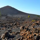 Wunderbare Vulkanlandschaft Teneriffa´s