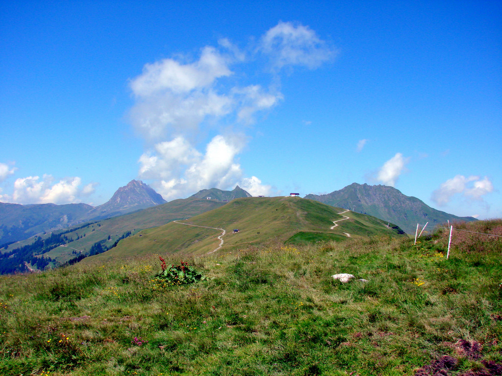 Wunderbare Wanderwege in den Pinzgauer Grasbergen