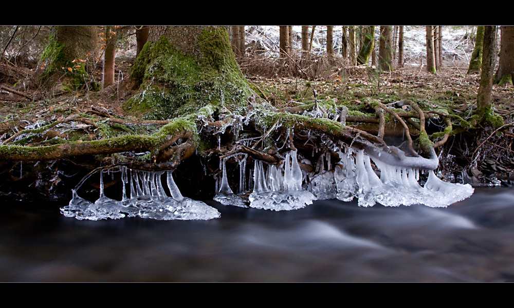 wunderbare Wassermodelle