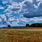 Wunderbare Wolken