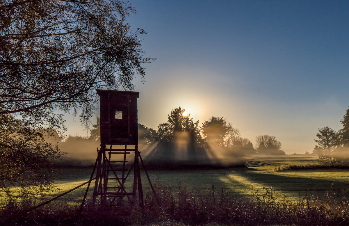 Wunderbarer Herbst