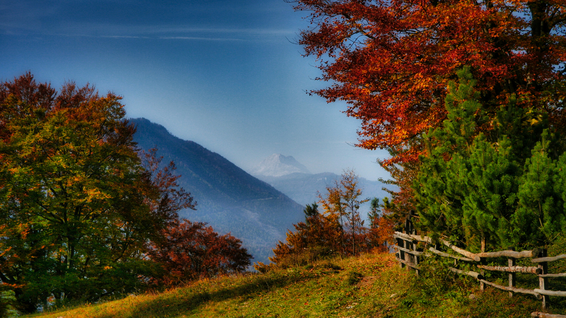 Wunderbarer Herbst