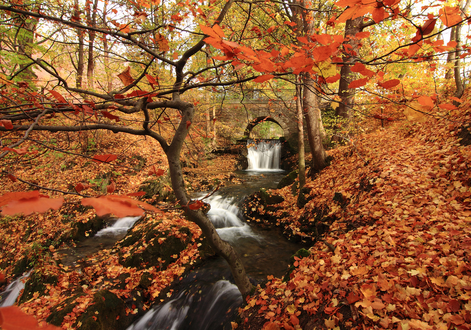 Wunderbarer Herbst im Eichsfeld