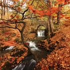 Wunderbarer Herbst im Eichsfeld