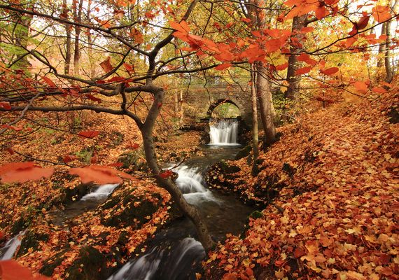 Wunderbarer Herbst im Eichsfeld