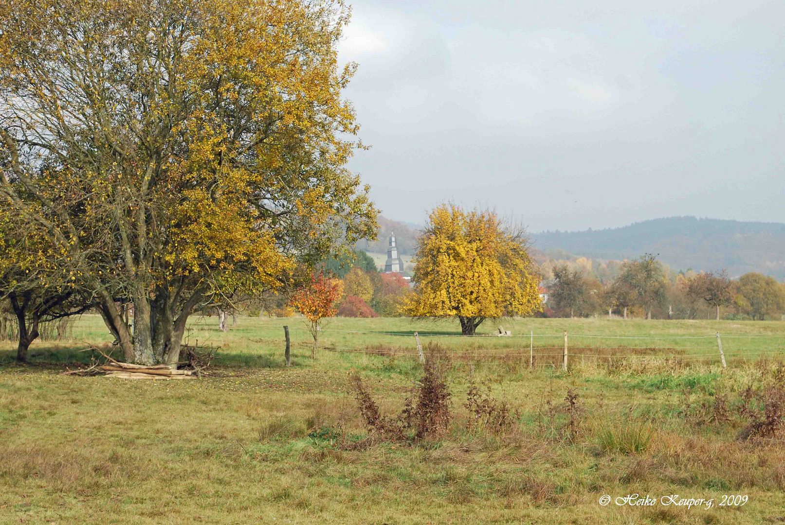 Wunderbarer Hickengrund