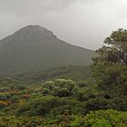 Wunderbarer Mai in Sardinien / Splendido mese maggio in Sardegna (06)