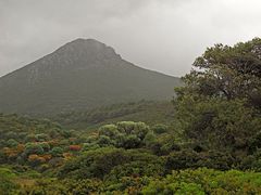 Wunderbarer Mai in Sardinien / Splendido mese maggio in Sardegna (06)