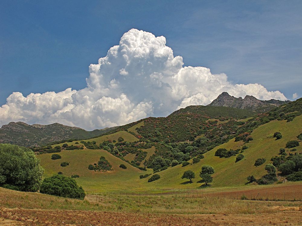 Wunderbarer Mai in Sardinien / Splendido mese maggio in Sardegna (08)