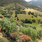 Wunderbarer Mai in Sardinien / Splendido mese maggio in Sardegna (09)