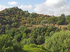 Wunderbarer Mai in Sardinien / Splendido mese maggio in Sardegna (10)