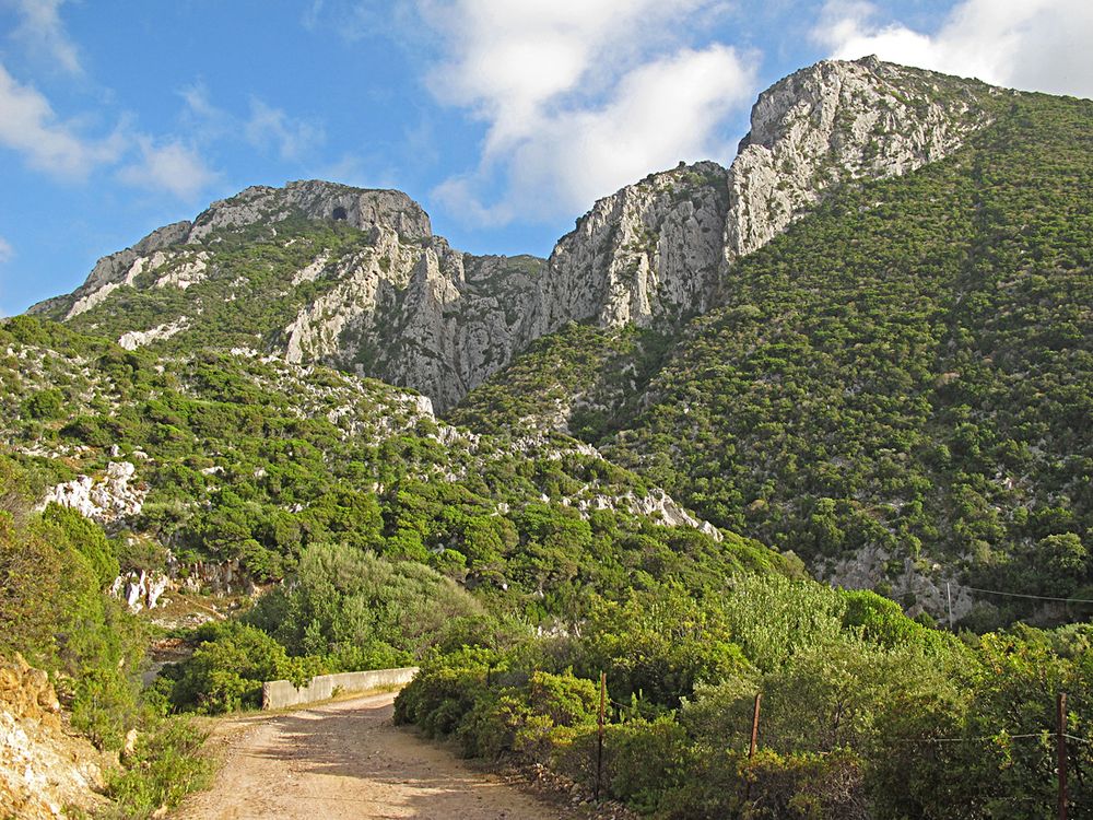 Wunderbarer Mai in Sardinien / Splendido mese maggio in Sardegna (12)