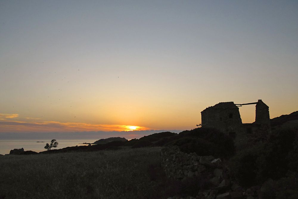 Wunderbarer Mai in Sardinien / Splendido mese maggio in Sardegna (133)