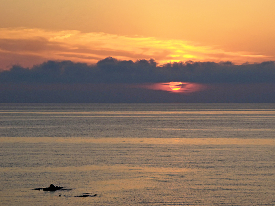 Wunderbarer Mai in Sardinien / Splendido mese maggio in Sardegna (139)