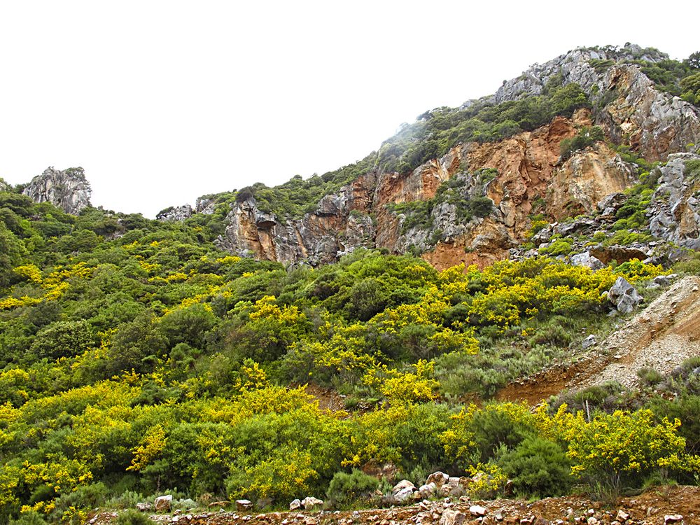 Wunderbarer Mai in Sardinien / Splendido mese maggio in Sardegna (14)