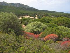 Wunderbarer Mai in Sardinien / Splendido mese maggio in Sardegna (15)