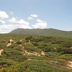 Wunderbarer Mai in Sardinien / Splendido mese maggio in Sardegna (16)