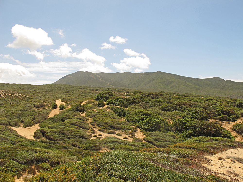 Wunderbarer Mai in Sardinien / Splendido mese maggio in Sardegna (16)