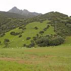 Wunderbarer Mai in Sardinien / Splendido mese maggio in Sardegna (17)