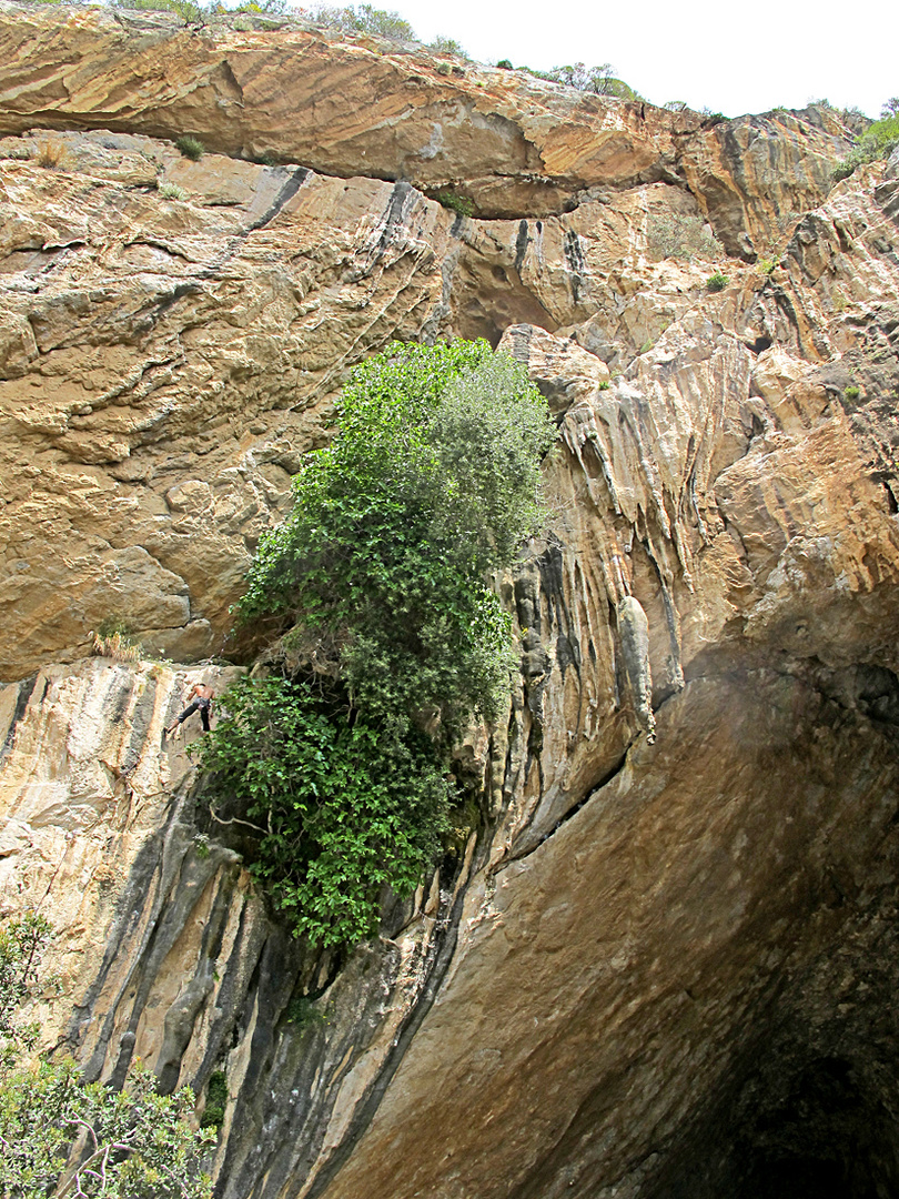 Wunderbarer Mai in Sardinien / Splendido mese maggio in Sardegna (18)