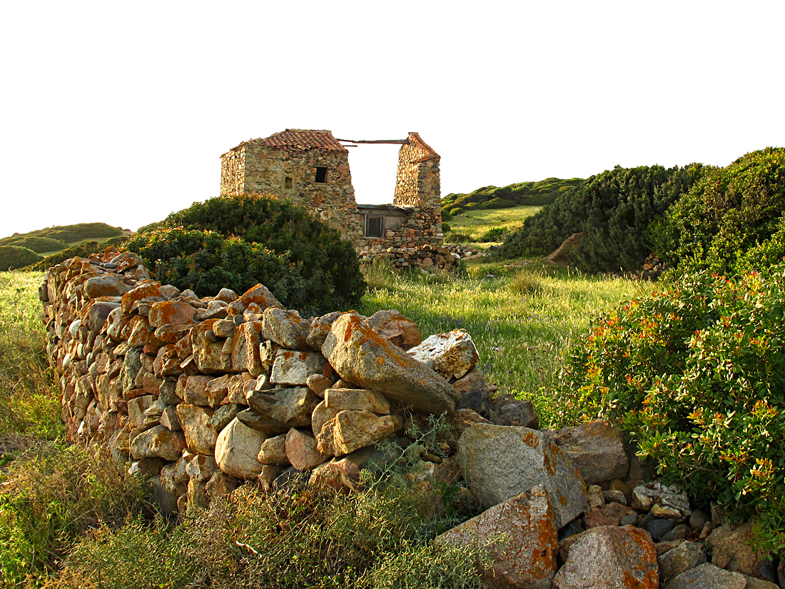 Wunderbarer Mai in Sardinien / Splendido mese maggio in Sardegna (19)