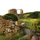 Wunderbarer Mai in Sardinien / Splendido mese maggio in Sardegna (19)