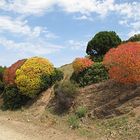 Wunderbarer Mai in Sardinien / Splendido mese maggio in Sardegna (22)