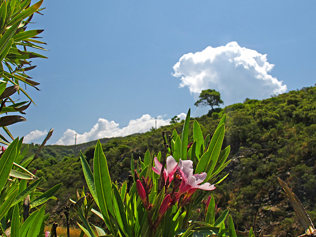 Wunderbarer Mai in Sardinien / Splendido mese maggio in Sardegna (24)